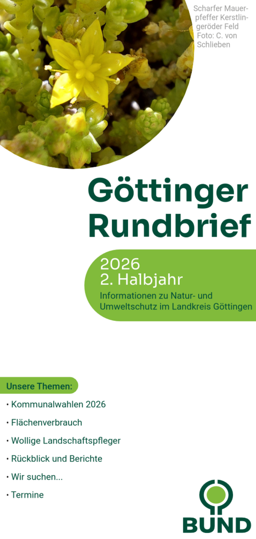 Deckblatt Rundbrief