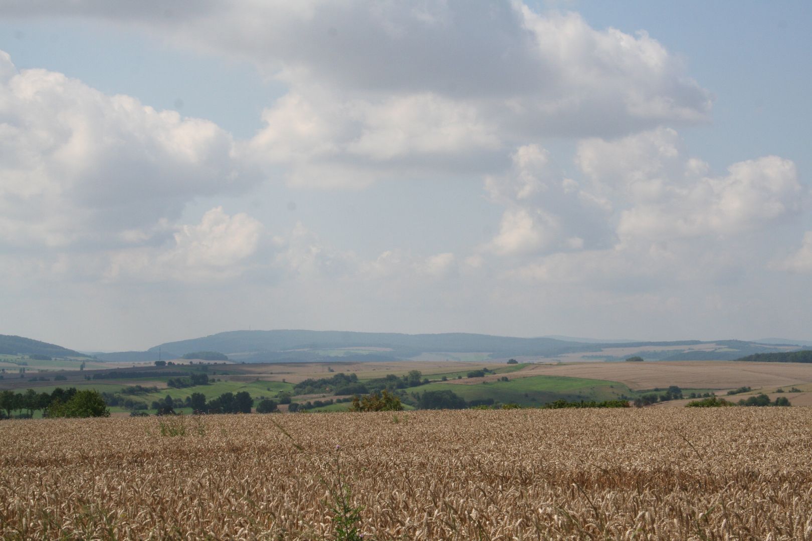 Feld mit Bergen im Hintergrund
