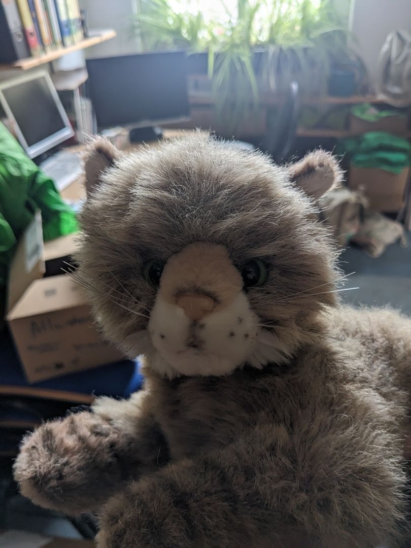 Wildkatzen Kuscheltier