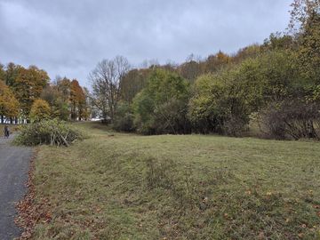 Feld quer grau