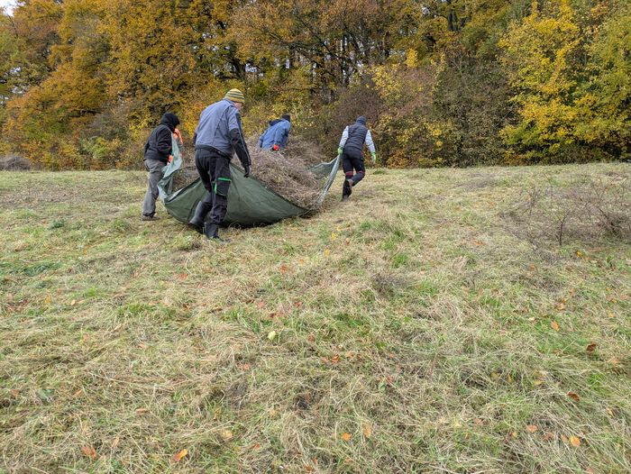Menschen auf Feld am Arbeiten