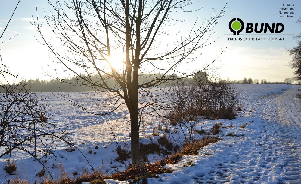 Verschneite Landschaft