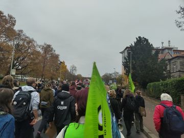 Menschenmenge mit Fahnen und Schildern